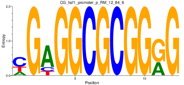 CG_hsf1_promoter_p_RM_12_84_6