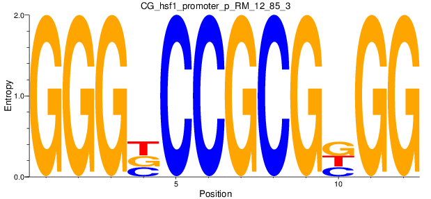 CG_hsf1_promoter_p_RM_12_85_3