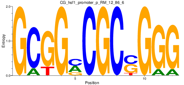 CG_hsf1_promoter_p_RM_12_86_6