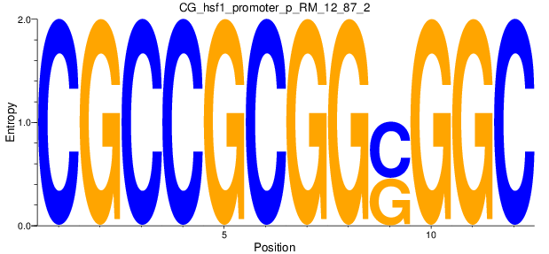 CG_hsf1_promoter_p_RM_12_87_2