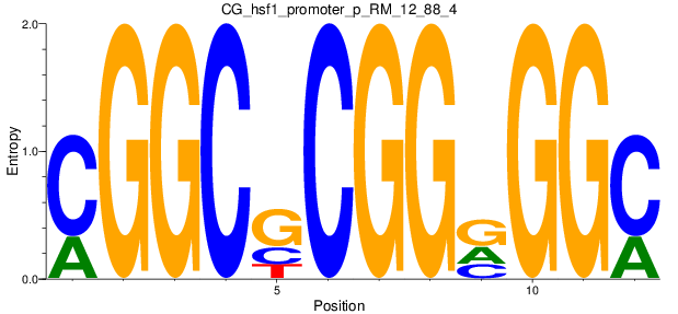 CG_hsf1_promoter_p_RM_12_88_4