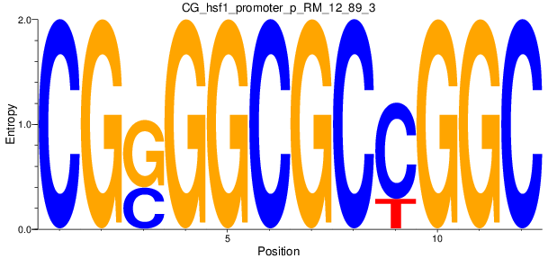 CG_hsf1_promoter_p_RM_12_89_3
