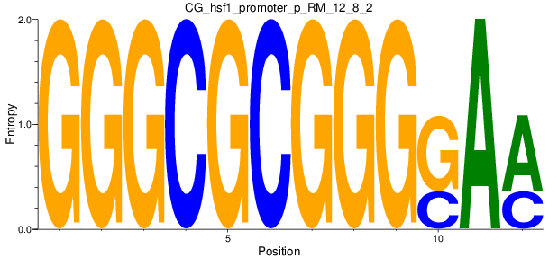 CG_hsf1_promoter_p_RM_12_8_2