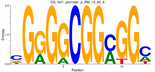 CG_hsf1_promoter_p_RM_12_90_6