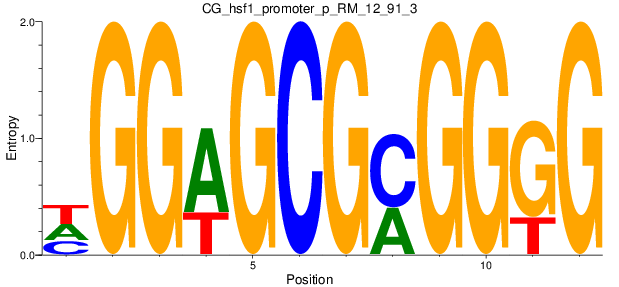 CG_hsf1_promoter_p_RM_12_91_3