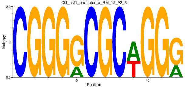 CG_hsf1_promoter_p_RM_12_92_3