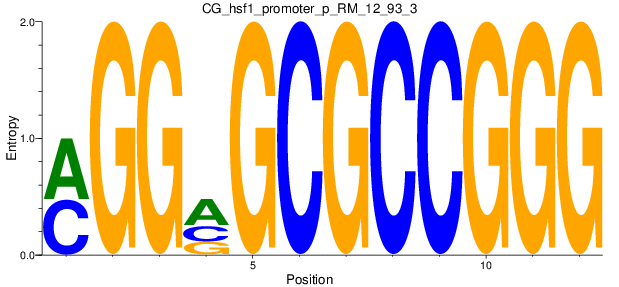 CG_hsf1_promoter_p_RM_12_93_3