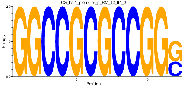 CG_hsf1_promoter_p_RM_12_94_2