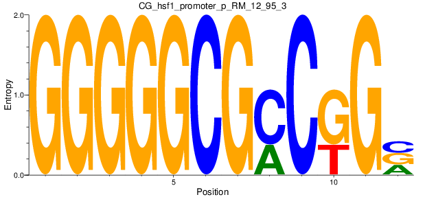 CG_hsf1_promoter_p_RM_12_95_3