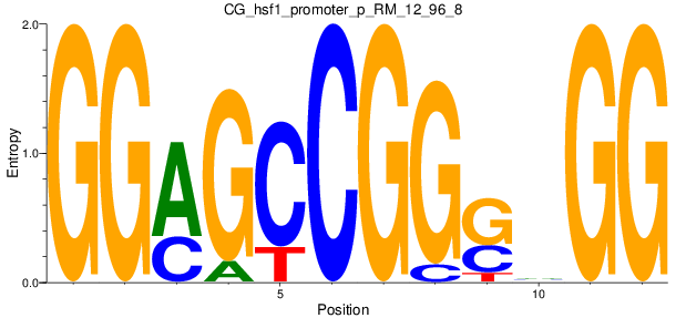 CG_hsf1_promoter_p_RM_12_96_8