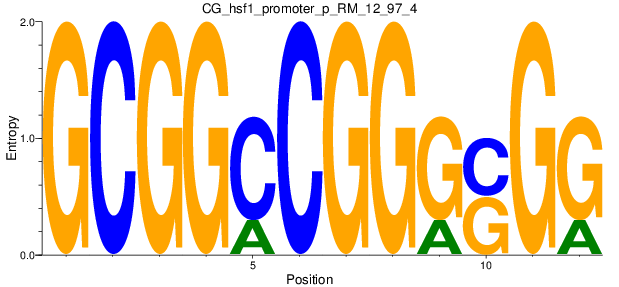 CG_hsf1_promoter_p_RM_12_97_4
