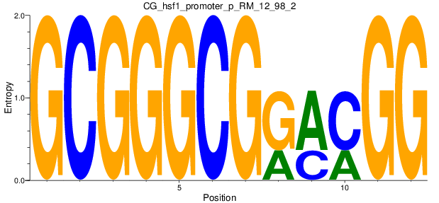 CG_hsf1_promoter_p_RM_12_98_2
