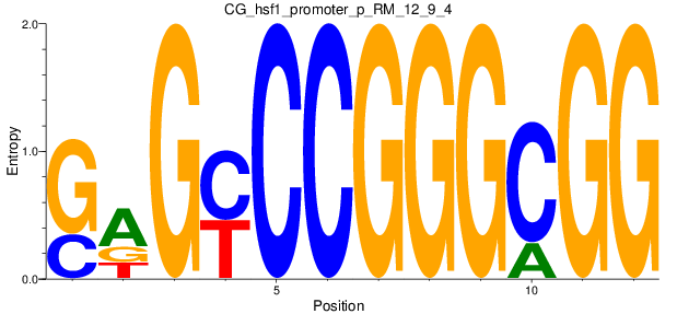 CG_hsf1_promoter_p_RM_12_9_4