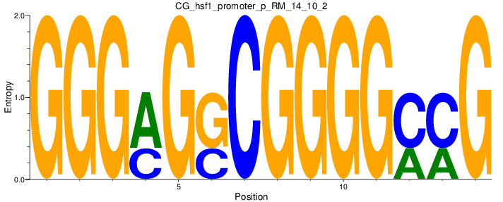 CG_hsf1_promoter_p_RM_14_10_2