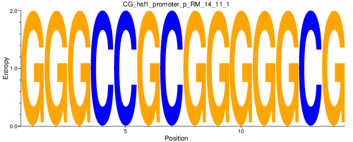 CG_hsf1_promoter_p_RM_14_11_1