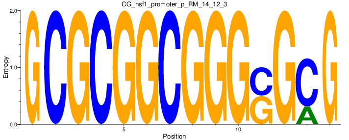 CG_hsf1_promoter_p_RM_14_12_3
