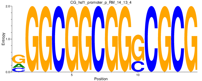 CG_hsf1_promoter_p_RM_14_13_4