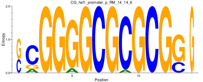 CG_hsf1_promoter_p_RM_14_14_6