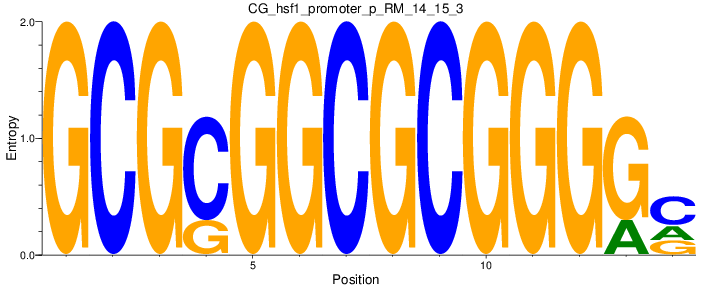 CG_hsf1_promoter_p_RM_14_15_3