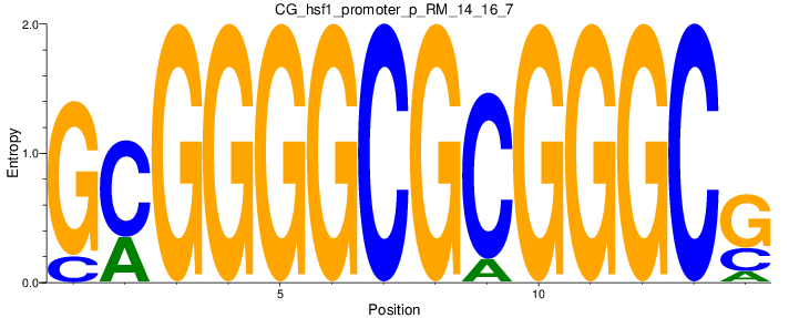 CG_hsf1_promoter_p_RM_14_16_7