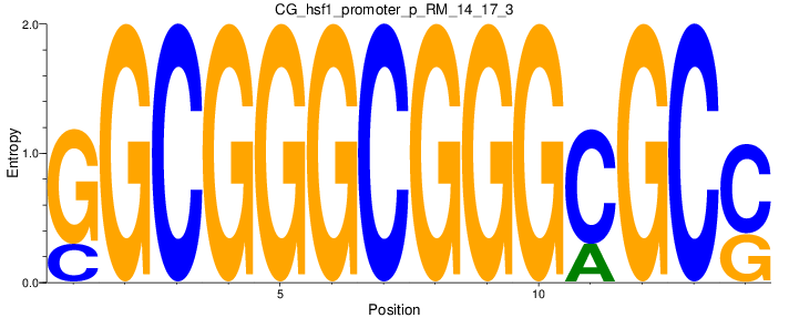 CG_hsf1_promoter_p_RM_14_17_3