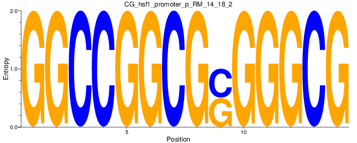CG_hsf1_promoter_p_RM_14_18_2