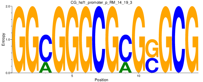 CG_hsf1_promoter_p_RM_14_19_3