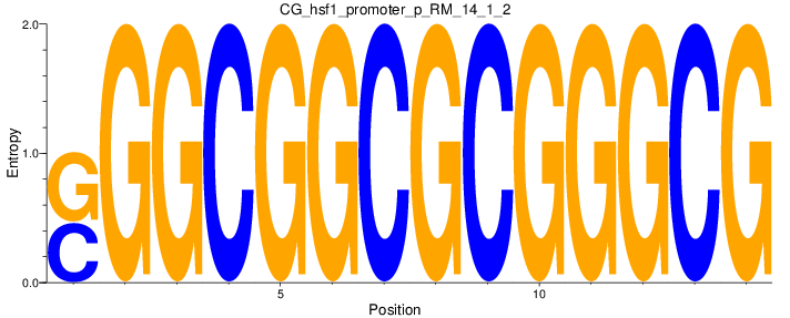 CG_hsf1_promoter_p_RM_14_1_2