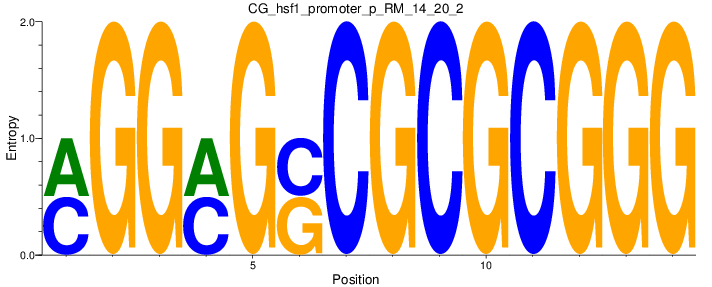 CG_hsf1_promoter_p_RM_14_20_2