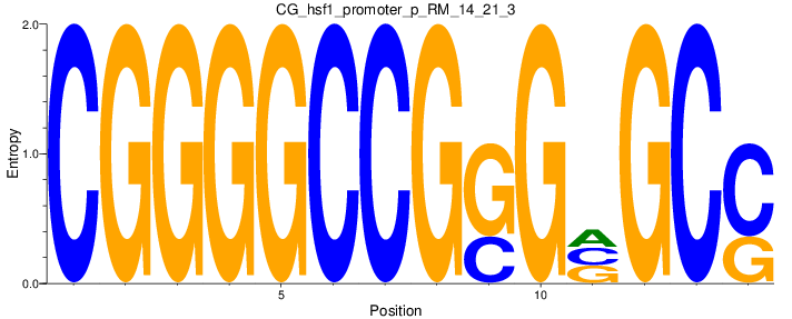 CG_hsf1_promoter_p_RM_14_21_3