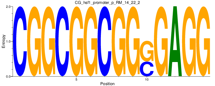 CG_hsf1_promoter_p_RM_14_22_2