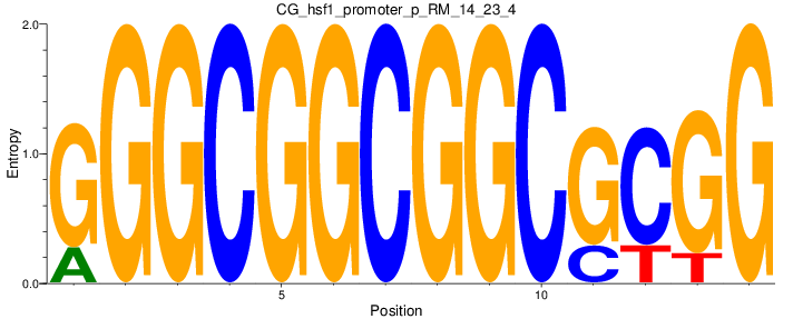 CG_hsf1_promoter_p_RM_14_23_4