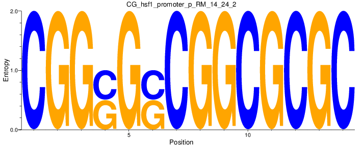 CG_hsf1_promoter_p_RM_14_24_2