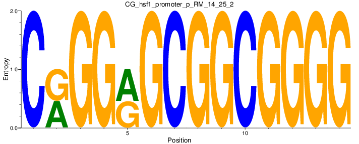 CG_hsf1_promoter_p_RM_14_25_2