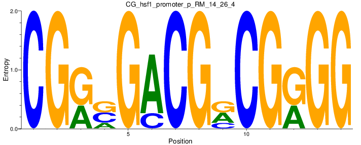 CG_hsf1_promoter_p_RM_14_26_4