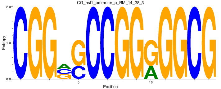 CG_hsf1_promoter_p_RM_14_28_3