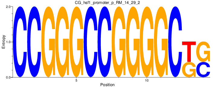 CG_hsf1_promoter_p_RM_14_29_2