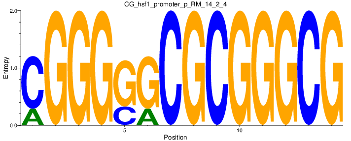 CG_hsf1_promoter_p_RM_14_2_4
