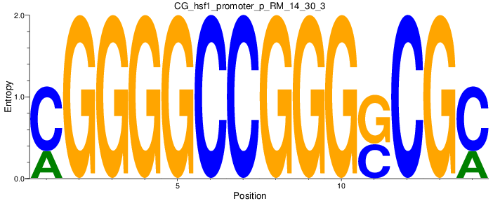 CG_hsf1_promoter_p_RM_14_30_3