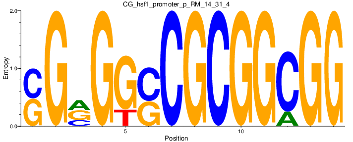 CG_hsf1_promoter_p_RM_14_31_4