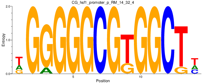 CG_hsf1_promoter_p_RM_14_32_4