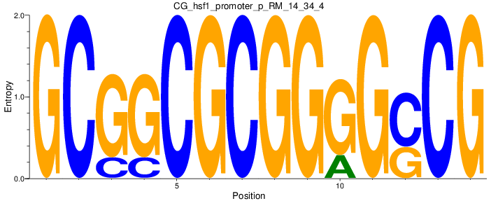 CG_hsf1_promoter_p_RM_14_34_4
