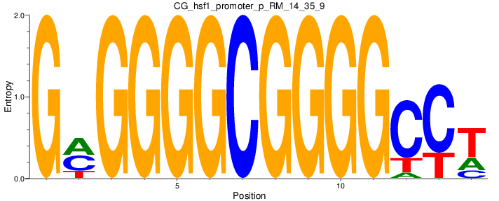 CG_hsf1_promoter_p_RM_14_35_9