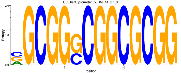 CG_hsf1_promoter_p_RM_14_37_3
