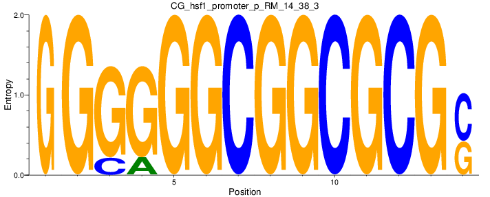 CG_hsf1_promoter_p_RM_14_38_3