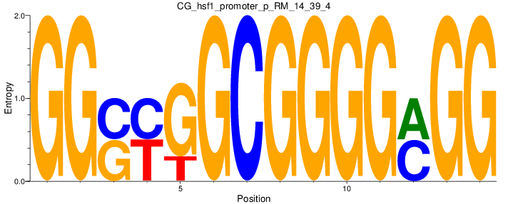 CG_hsf1_promoter_p_RM_14_39_4