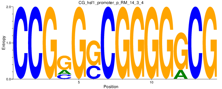 CG_hsf1_promoter_p_RM_14_3_4