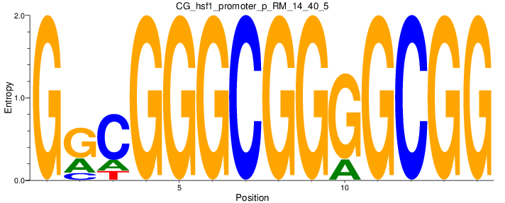 CG_hsf1_promoter_p_RM_14_40_5