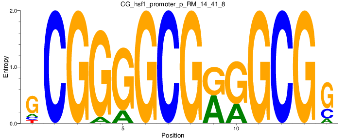 CG_hsf1_promoter_p_RM_14_41_8