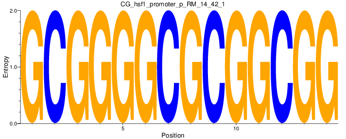 CG_hsf1_promoter_p_RM_14_42_1